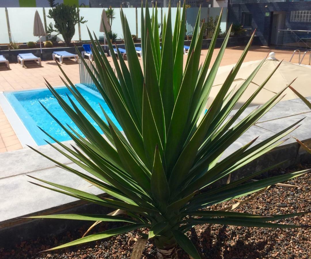 Blue Dream Playa Lejlighed Corralejo Eksteriør billede